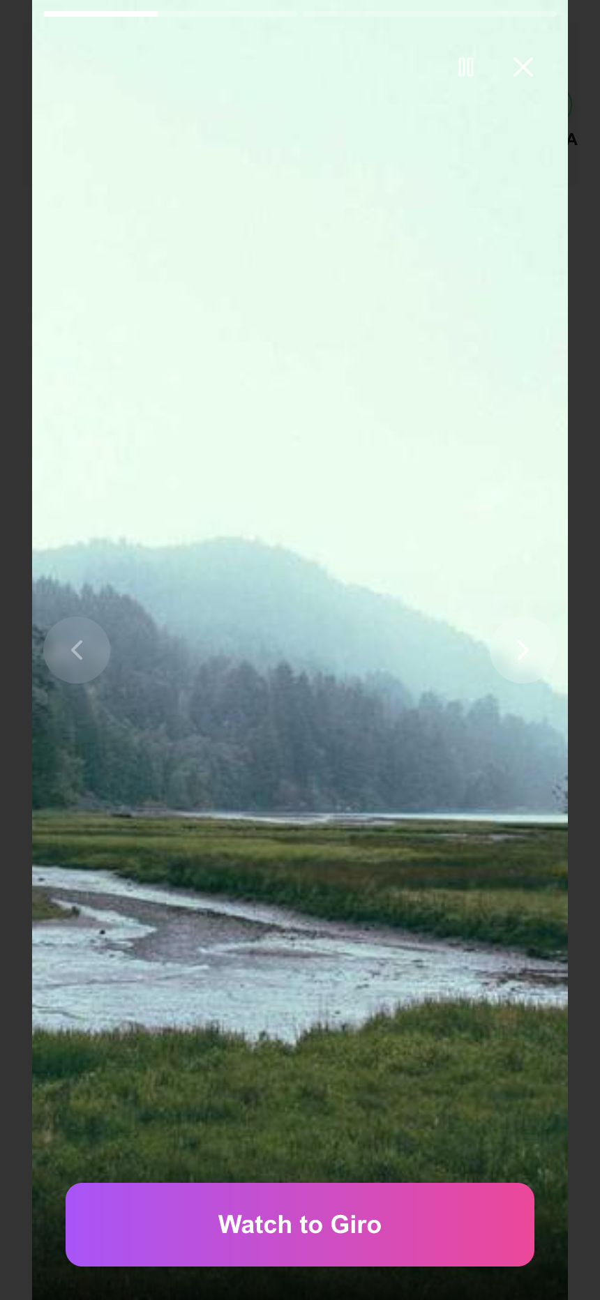 Webstory example